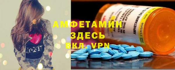 спиды Новозыбков