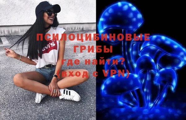 спиды Новозыбков