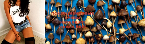 марки nbome Новодвинск