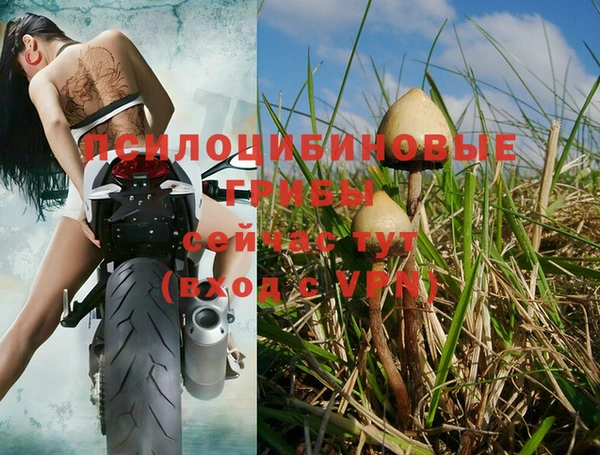 марки nbome Новодвинск
