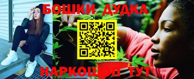 Альфа ПВП Бийск