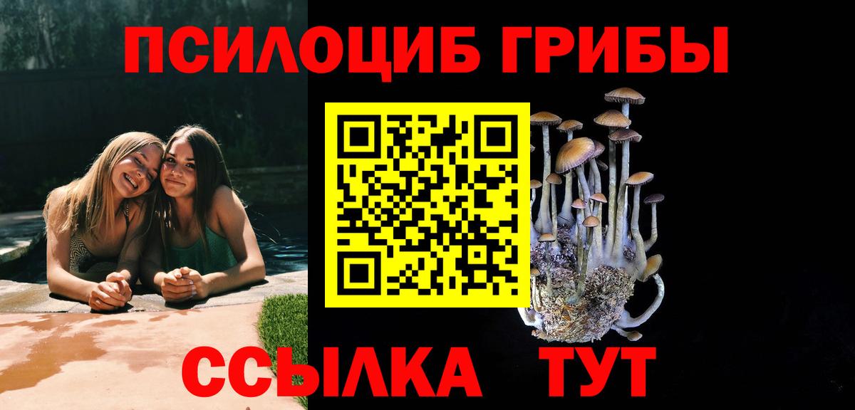 Псилоцибиновые грибы GOLDEN TEACHER Лениногорск