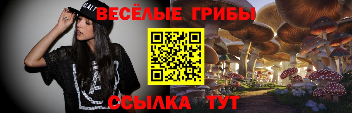 Галлюциногенные грибы Psilocybine cubensis  Галлюциногенные грибы GOLDEN TEACHER  Лениногорск 